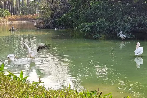 Egret Lake
