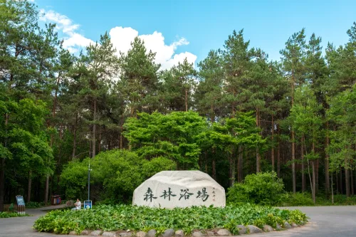 森林浴場