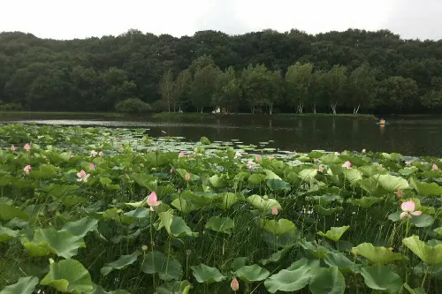 濕地公園