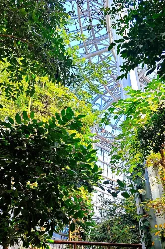 Exhibition Greenhouse