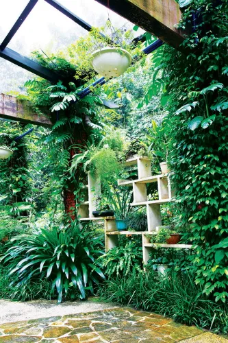 Medicinal Botanical Garden