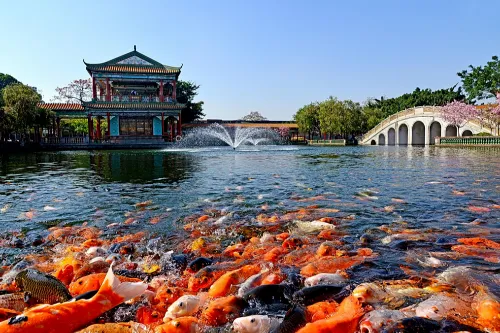 Qingping Lake