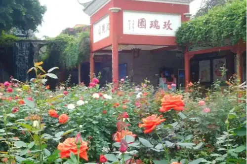 Rose Garden