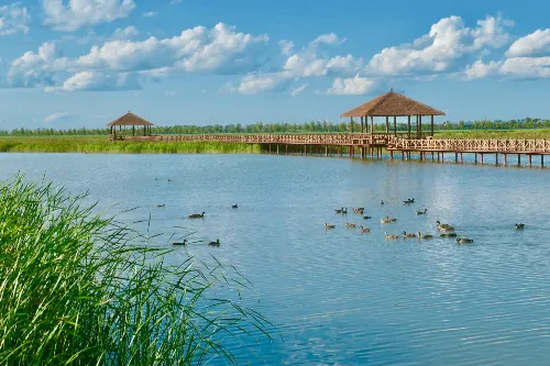 查干湖濕地觀鳥園