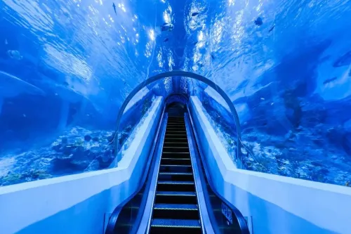 Underwater Tunnel