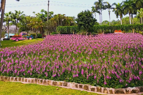 Hundred‑Garden