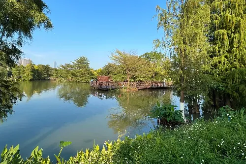 Haizhu Lake