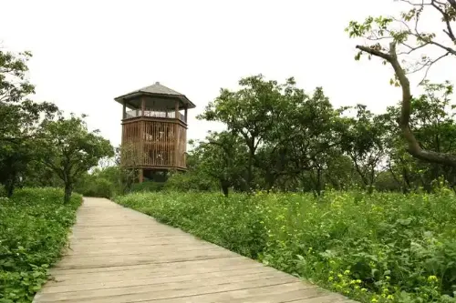 Fulu‑jing Bird‑Watching House