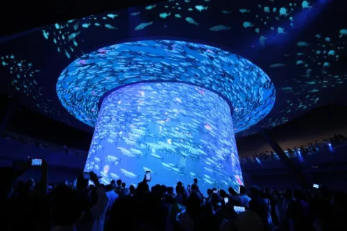 Blue Grotto Hall