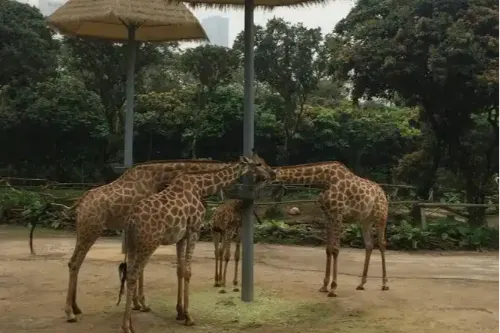Horn of Africa