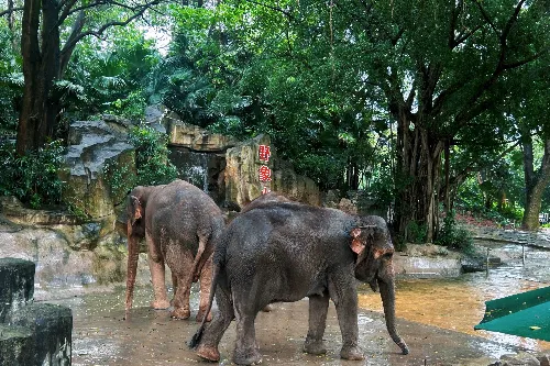 Elephant Valley