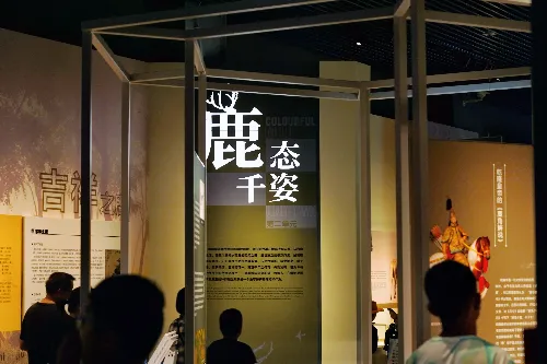 麋鹿博物館