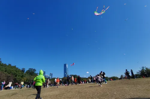 Kite Square