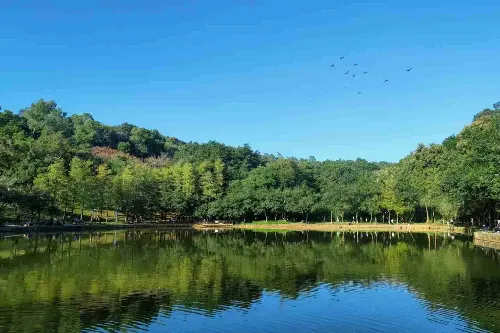 Lianhua Lake