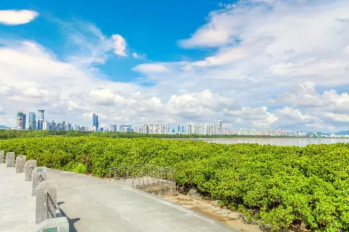 Mangrove Coastal Ecological Park