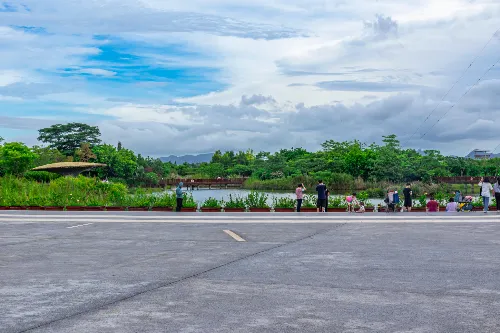 Ecological Square