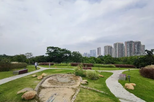 Seaside Lawn Area
