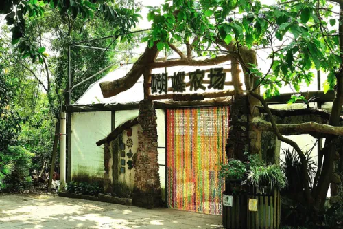 Butterfly Farm