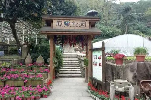 Melon and Fruit Garden