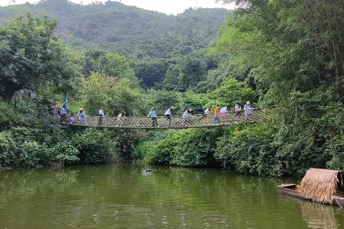 Forest Playground