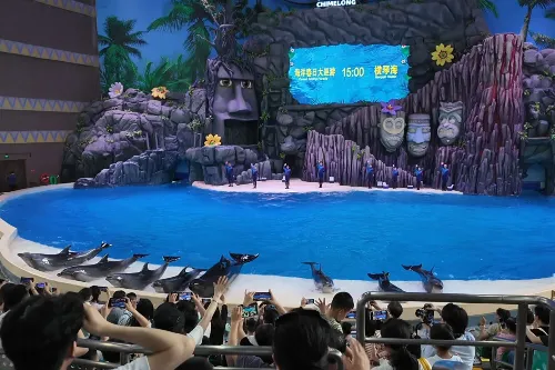 Dolphin Cove
