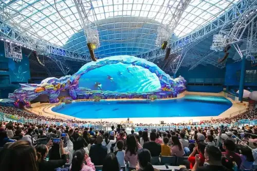 Orca Science Theatre