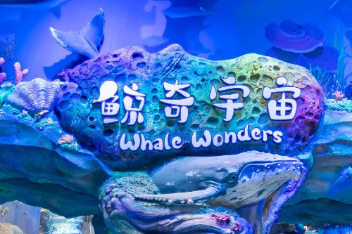 Whale Cosmic World