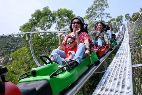 Toboggan Run