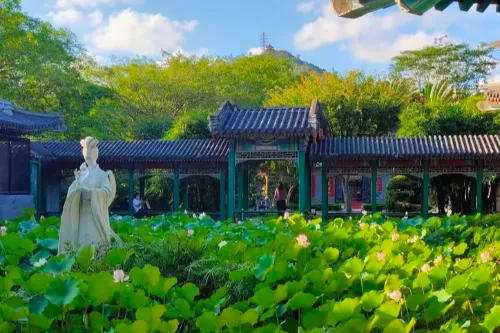 曲院風荷